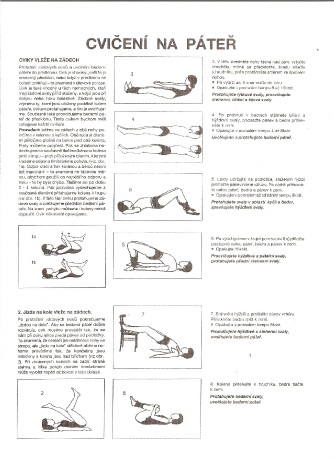 http://www.nemoczad.estranky.cz/img/mid/22/cviceni-na-pater-001.jpg